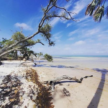 Tortuga Tillys Cape San Blas Zewnętrze zdjęcie