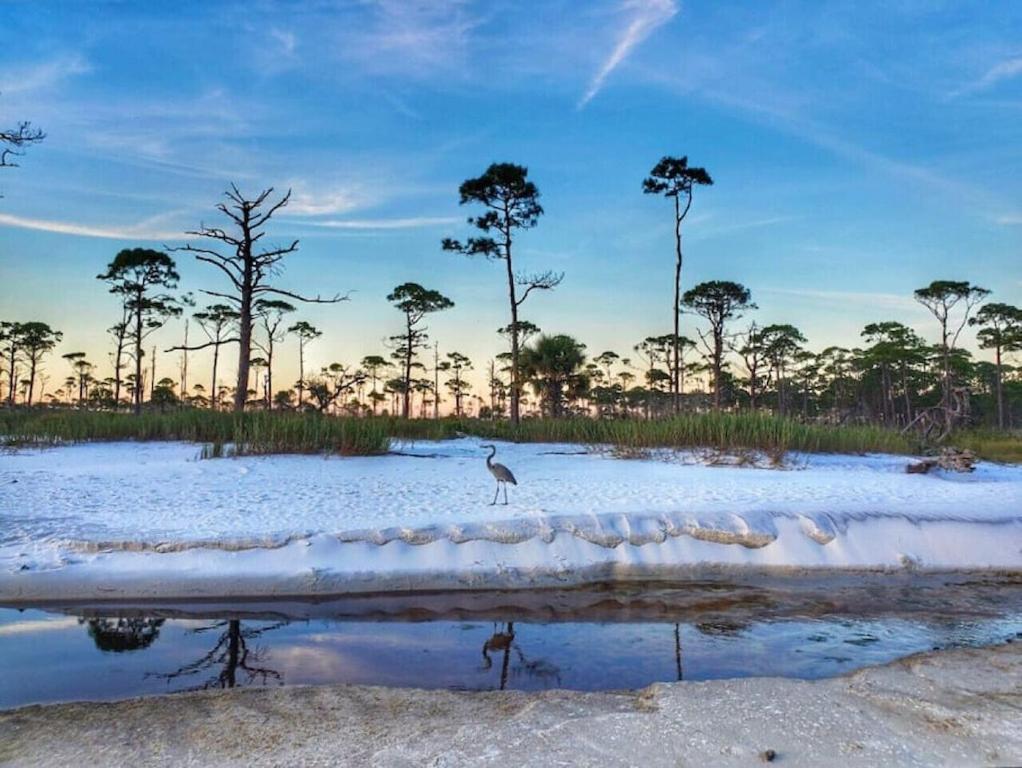 Tortuga Tillys Cape San Blas Zewnętrze zdjęcie
